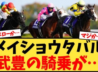 【天皇賞秋】メイショウタバル武豊の騎乗が…【競馬反応集】