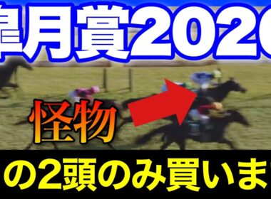 ずば抜けて強いのに同レベルだと思われて舐められている馬が2頭います🏇🔥【皐月賞 2026】