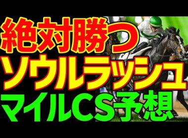 【マイルCS予想】ソウルラッシュが絶対勝つ！C・デムーロを信じろ！ジャンタルマンタルは絶対に来ない！去年とは違う馬場状態に注目！2025年マイルチャンピオンシップ予想動画【競馬ゆっくり】