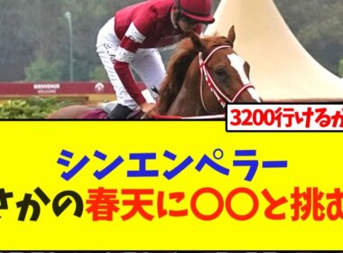 【次走報】シンエンペラーまさかの春天に〇〇と挑むw【競馬】