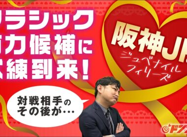 【阪神ジュベナイルフィリーズ 2025】血統＆実績◎の主役候補に不安アリ！混戦断つ金脈ホースは雨予報でも狙い目