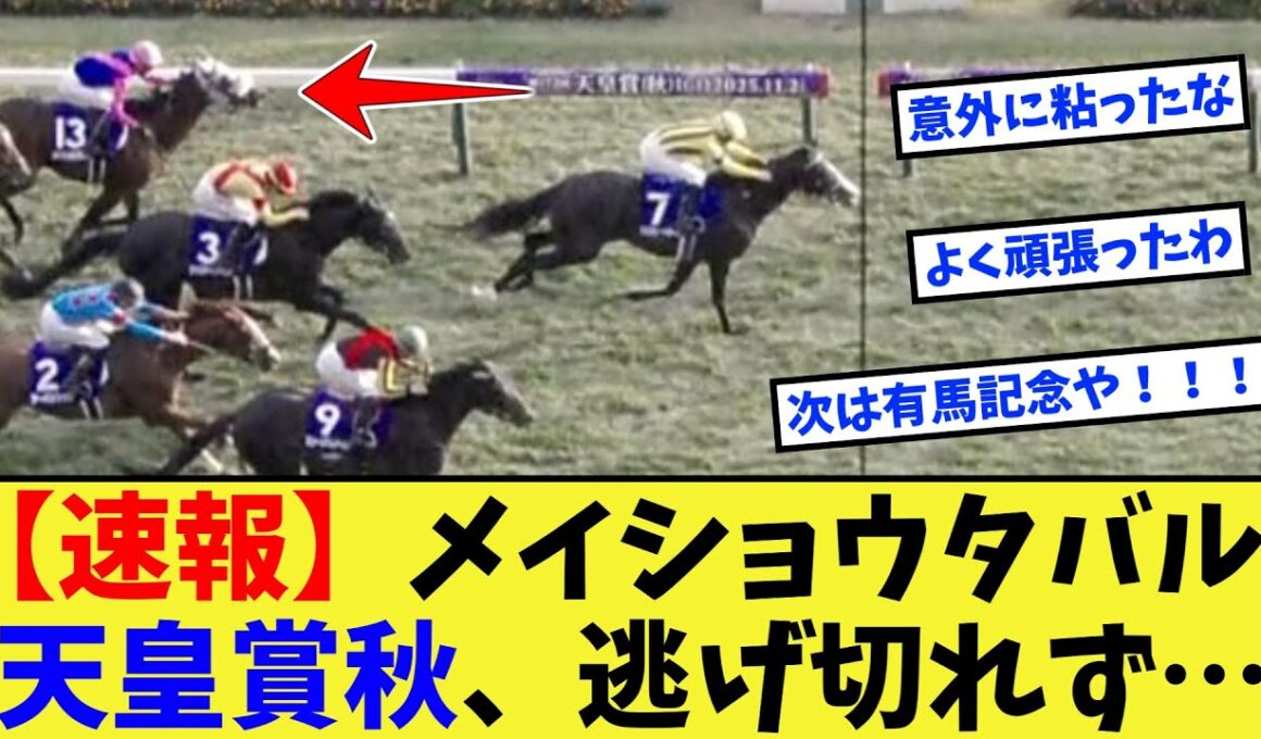 【競馬】【速報】メイショウタバル、天皇賞秋、逃げきれず……に対する反応集【競馬の反応集】