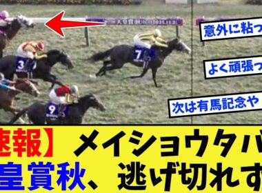 【競馬】【速報】メイショウタバル、天皇賞秋、逃げきれず……に対する反応集【競馬の反応集】