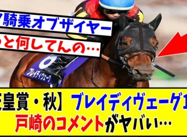 【天皇賞・秋】ブレイディヴェーグ10着戸崎のコメントがヤバい…