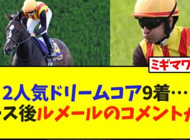 【桜花賞】2人気ドリームコア9着…レース後ルメールのコメントが…【競馬】