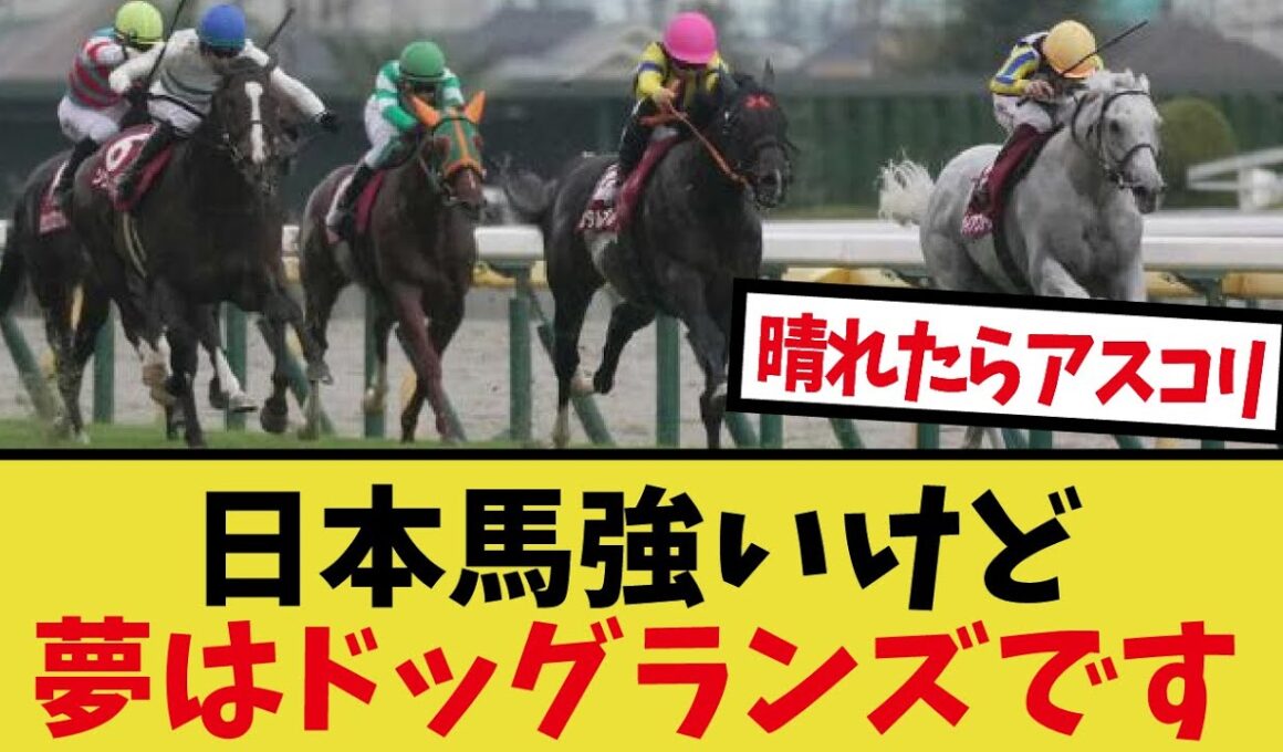 「マイルCSが豪華メンツで楽しみすぎる」に対するみんなの反応集