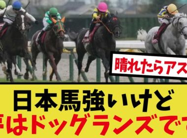 「マイルCSが豪華メンツで楽しみすぎる」に対するみんなの反応集