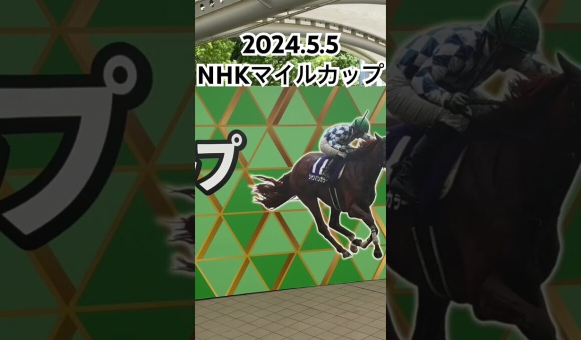 🥹2024.5.5 NHKマイルカップ🥹現地観戦してきました☺️雲もない快晴で、全てが綺麗でした！青葉賞の払い戻しも🩵ありがたや💐#競馬#競馬女子#東京競馬場#川田将雅#武豊
