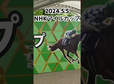 🥹2024.5.5 NHKマイルカップ🥹現地観戦してきました☺️雲もない快晴で、全てが綺麗でした！青葉賞の払い戻しも🩵ありがたや💐#競馬#競馬女子#東京競馬場#川田将雅#武豊