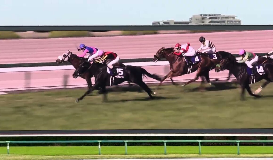 第70回大阪杯（中山競馬場ターフビジョンから）