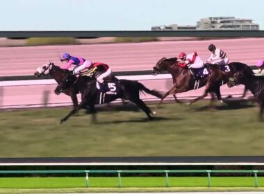 第70回大阪杯（中山競馬場ターフビジョンから）