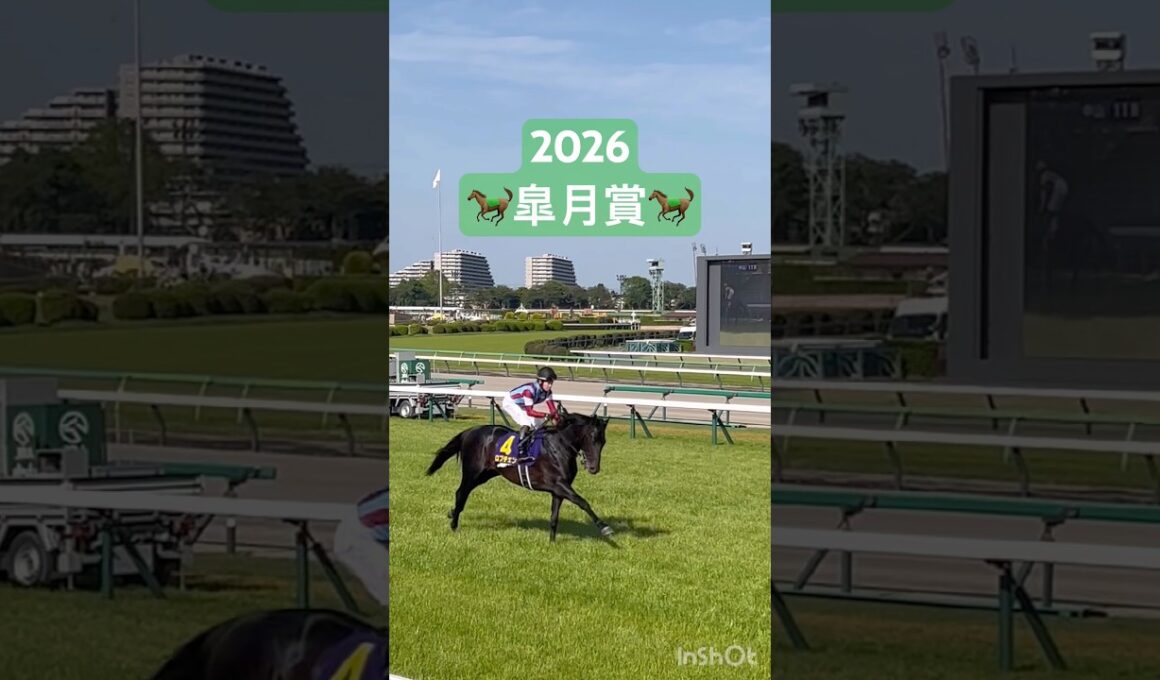 #皐月賞 #馬場入り #中山競馬場 #ロブチェン #馬場入場 #返し馬