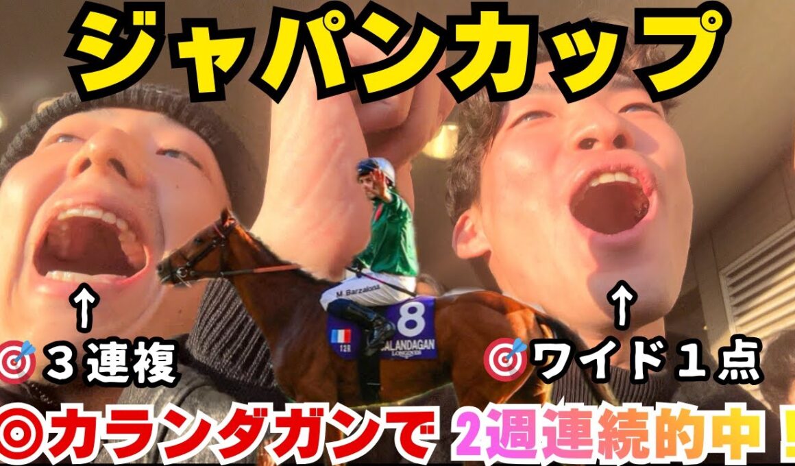 【ジャパンカップ2025】【2週連続的中】マイルCSで１１９万的中した男がジャパンカップ参戦したら2週連続的中したった！！！
