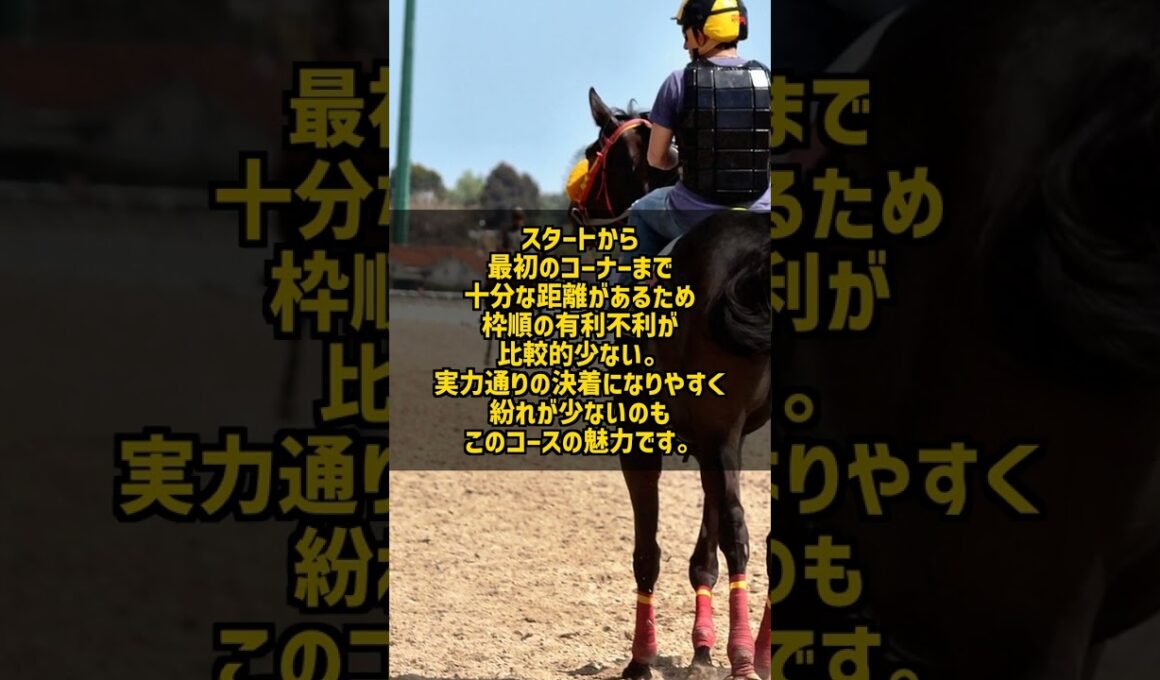 東京芝2400m なぜ日本競馬最高峰の舞台と呼ばれるのか #Shorts