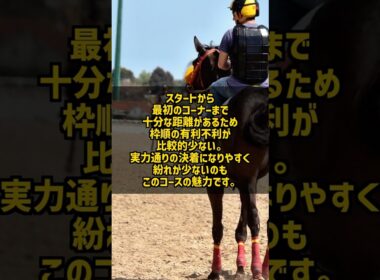 東京芝2400m なぜ日本競馬最高峰の舞台と呼ばれるのか #Shorts