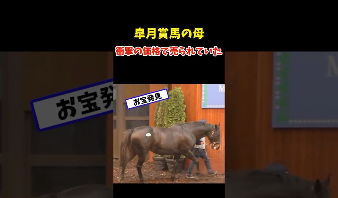 皐月賞馬の母、衝撃の価格で売られていた