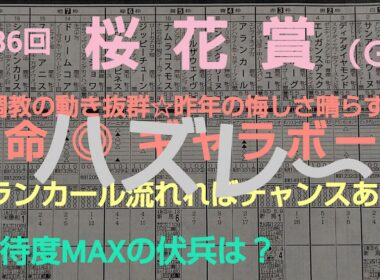 🐴 第86回  🌸桜花賞（GⅠ）予想❗️