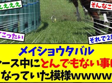 【大阪杯2026】メイショウタバルがレース中にとんでもない事になっていたｗｗｗ【競馬】