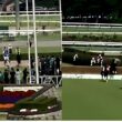 【ダイジェスト版】JGⅠ 中山グランドジャンプ2026 エコロデュエル圧勝 中山競馬場 04/18