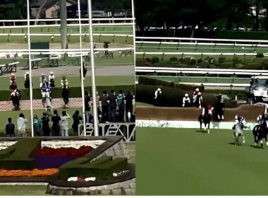 【ダイジェスト版】JGⅠ 中山グランドジャンプ2026 エコロデュエル圧勝 中山競馬場 04/18