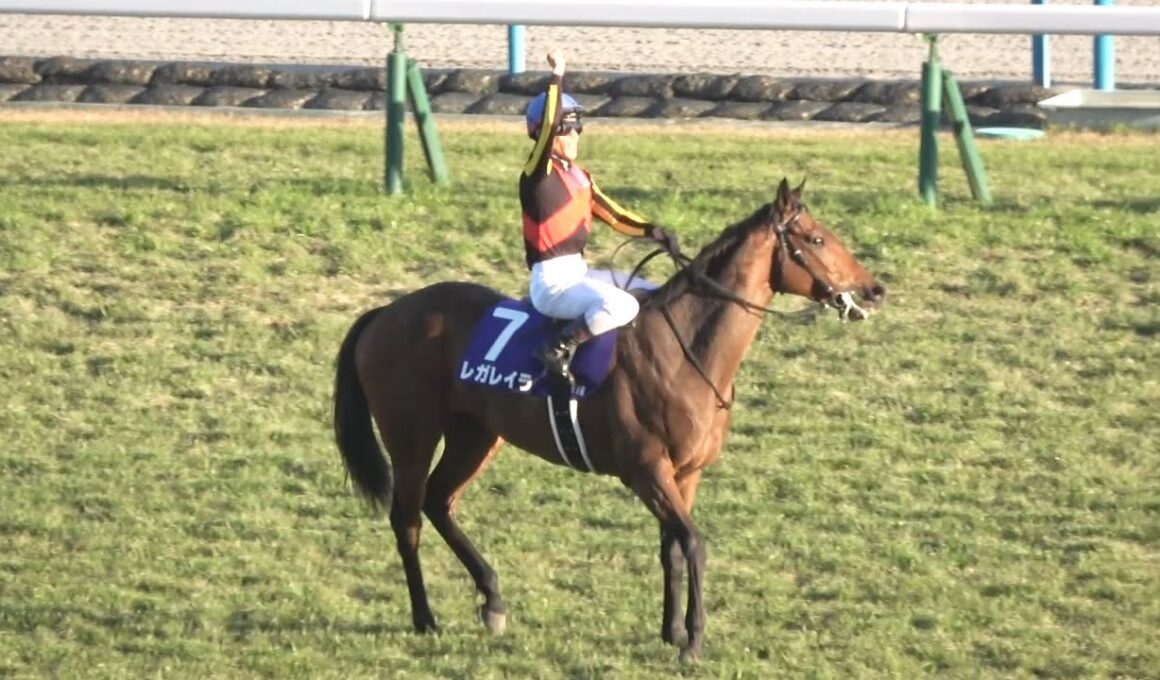 【現地】2025 G1 エリザベス女王杯 レガレイラ 戸崎 圭太 【生ファンファーレ 京都競馬場 ベリベリホース】