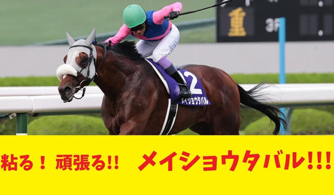 「メイショウタバルの大阪杯、2着」に対するみんなの反応集！