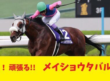 「メイショウタバルの大阪杯、2着」に対するみんなの反応集！