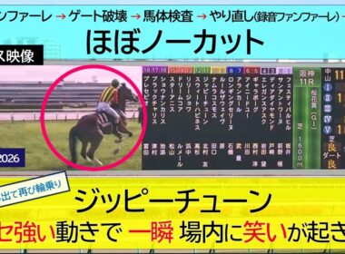 【中山競馬場で観戦】2026年 桜花賞 | リリージョワがゲートに突進し外枠発走でやり直し | スターアニス | ギャラボーグ | ジッピーチューン | スマシ観戦 | 芝1,600