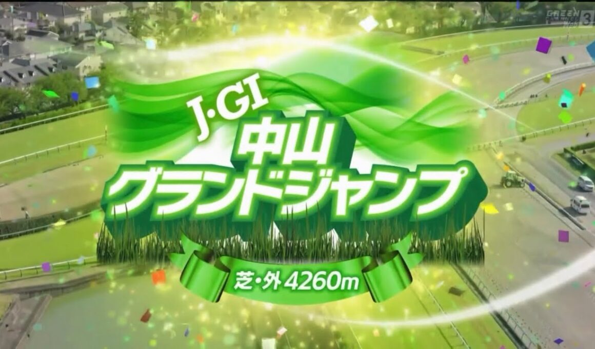 中山11R 第28回農林水産省賞典 中山グランドジャンプ（J・GⅠ）