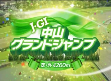 中山11R 第28回農林水産省賞典 中山グランドジャンプ（J・GⅠ）