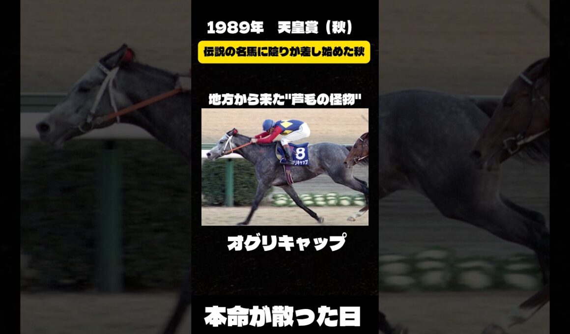 陰りは秋天から始まった。【1989年 天皇賞（秋）】#競馬 #天皇賞秋 #オグリキャップ #有馬記念 #名馬 #一番人気が飛んだレース