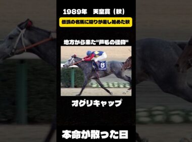 陰りは秋天から始まった。【1989年 天皇賞（秋）】#競馬 #天皇賞秋 #オグリキャップ #有馬記念 #名馬 #一番人気が飛んだレース