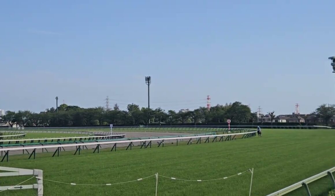 第28回中山グランドジャンプ2026