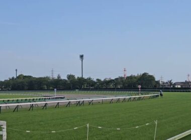 第28回中山グランドジャンプ2026