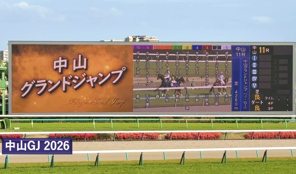 2026年 中山グランドジャンプ | エコロデュエル | ディナースタ | フォージドブリック | 現地レース映像 | スマシ観戦 | 中山競馬場 | 芝4,260