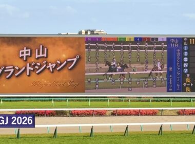 2026年 中山グランドジャンプ | エコロデュエル | ディナースタ | フォージドブリック | 現地レース映像 | スマシ観戦 | 中山競馬場 | 芝4,260