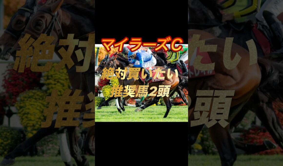 マイラーズカップ2026 絶対買いたい推奨馬2頭紹介