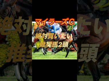 マイラーズカップ2026 絶対買いたい推奨馬2頭紹介
