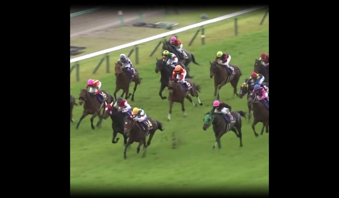 朝日を照らした末脚 #競馬 #皐月賞 #ソールオリエンス #横山武史