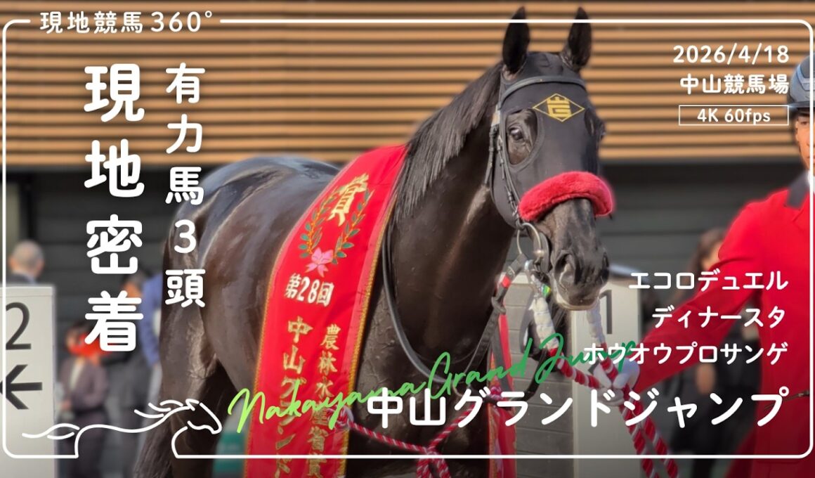 [ 連覇達成 ] 中山グランドジャンプ｜有力馬3頭 現地密着｜2026/4/18 中山競馬場｜4K/60fps