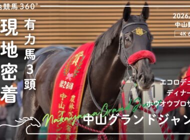 [ 連覇達成 ] 中山グランドジャンプ｜有力馬3頭 現地密着｜2026/4/18 中山競馬場｜4K/60fps