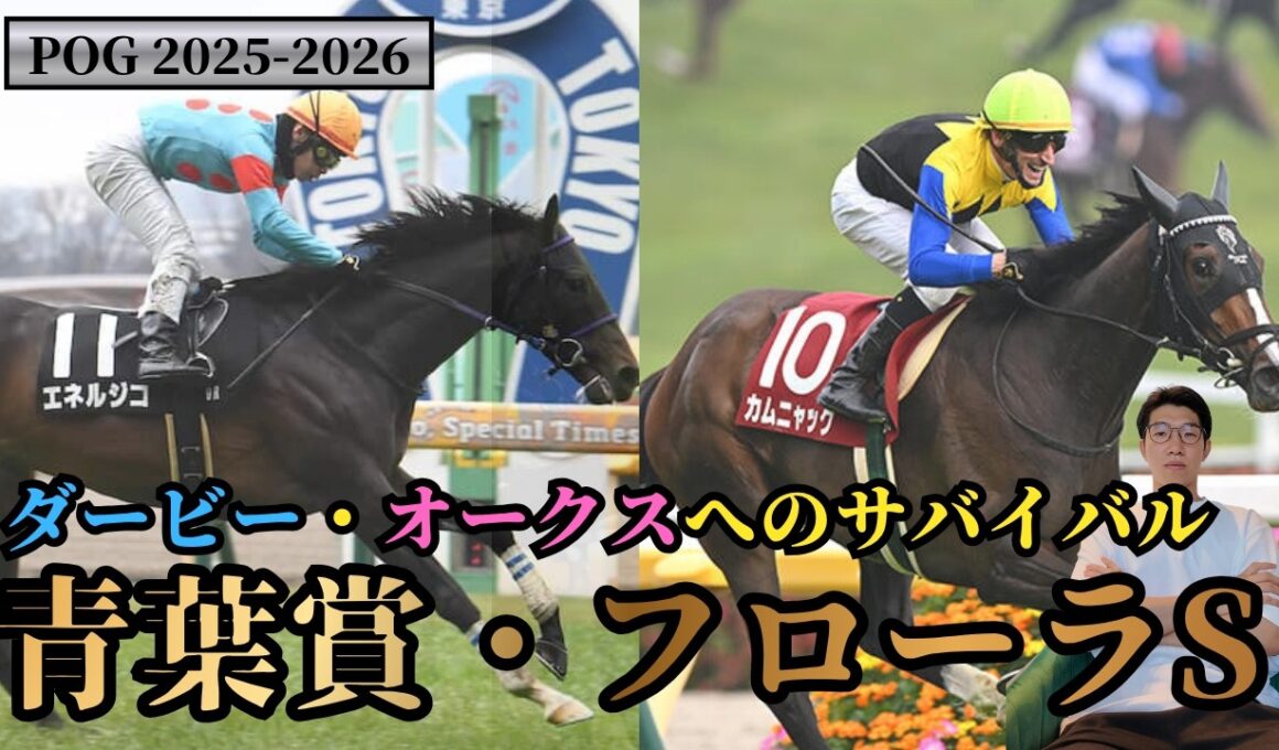 【POG2025-2026】いざダービー・オークスへ！青葉賞＆フローラS！注目馬 4頭を紹介！