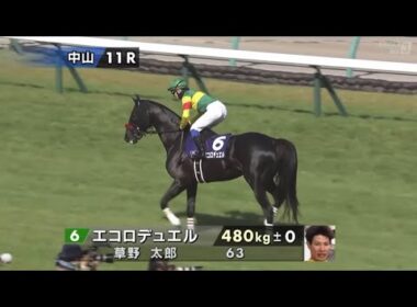 2026年第28回中山グランドジャンプ〔J•GⅠ〕本馬場入場