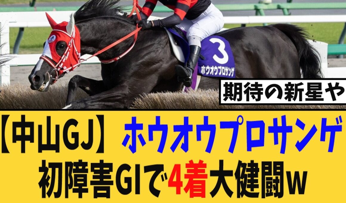 【中山GJ】ホウオウプロサンゲ、初障害GIで4着大健闘！！障害界の新星がヤバい…
