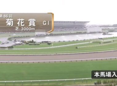 菊花賞2025本馬場入場【みんなのKEIBA】