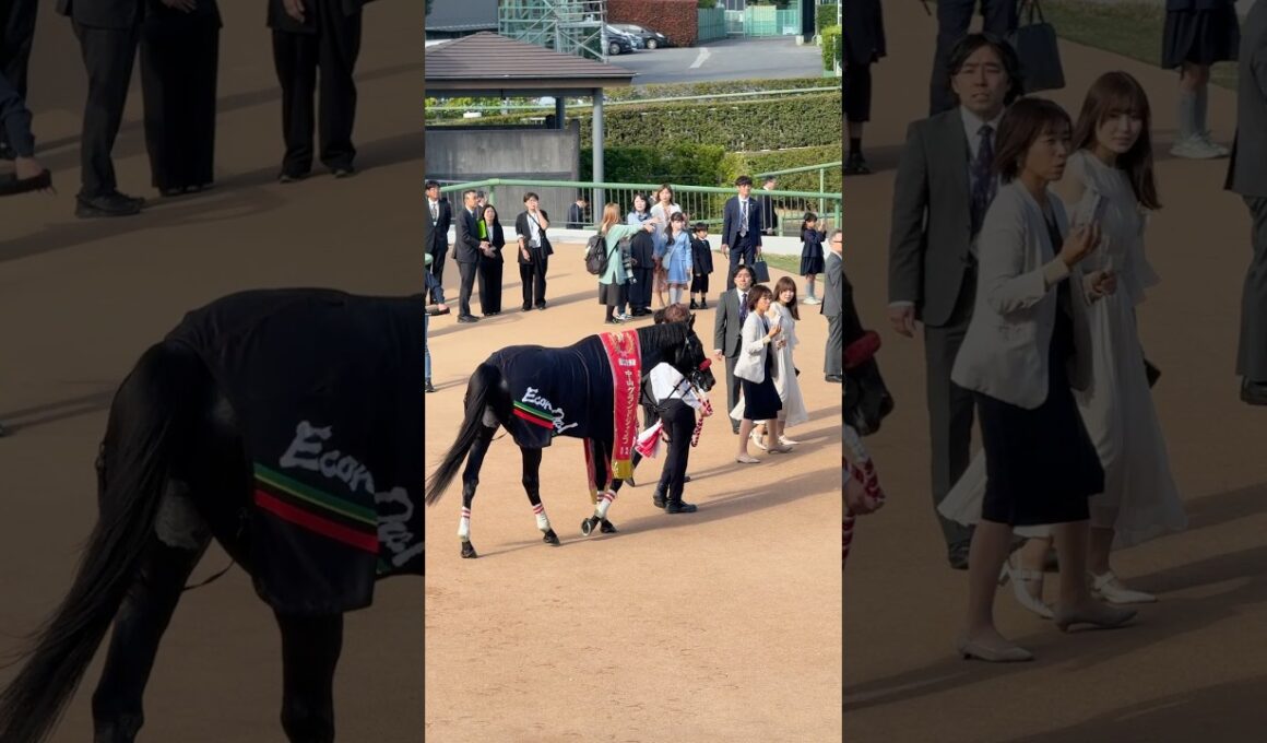 中山グランドジャンプ エコロデュエル 連覇