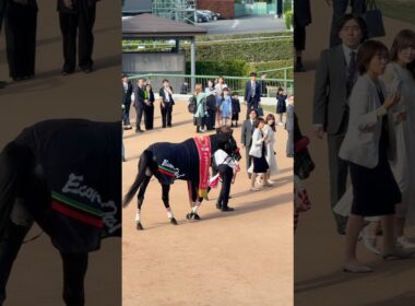 中山グランドジャンプ エコロデュエル 連覇