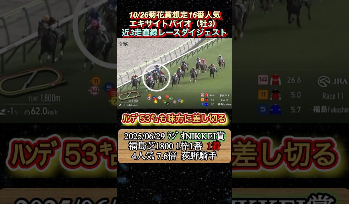 【エキサイトバイオ】 菊花賞想定16番人気！近3走ダイジェスト　#競馬  #菊花賞  #エキサイトバイオ  #shorts