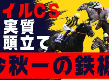 【マイルCS】鉄板これしかない！後は買い方だけ