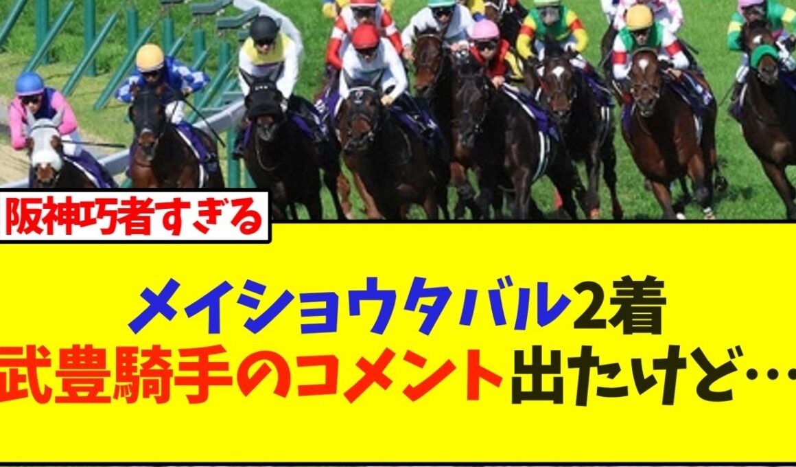 メイショウタバル2着武豊騎手のコメント出たけど…【競馬】